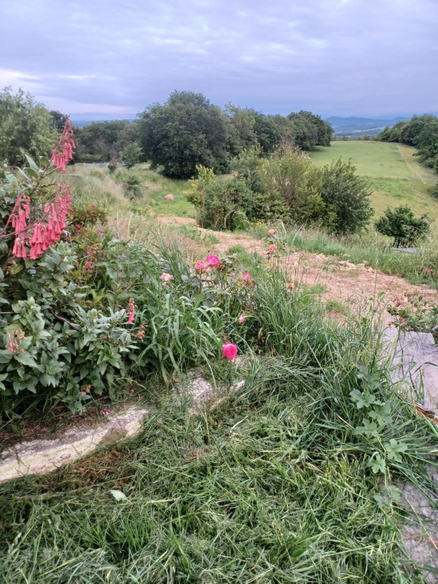 La Biste Villa Mirepoix  Exteriör bild